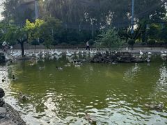 -森林公园(尖草坪区)