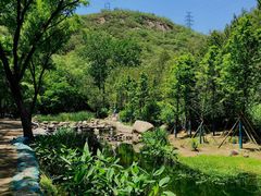 -白水寺森林公园