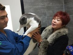-美联众合宠物医院·爱萌分院·内外科·猫科中心