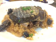 甲鱼-小元国大酒店(环城东路店)