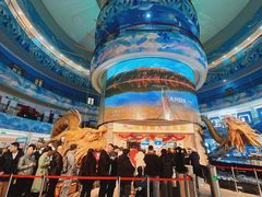 -龙塔