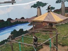 -西霞口神雕山野生动物世界