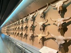 -大庆市博物馆