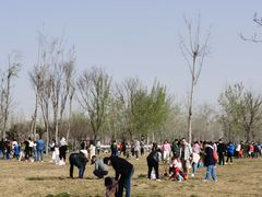 -汉长安城未央宫国家考古遗址公园