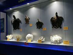 -福州罗源湾海洋世界旅游区