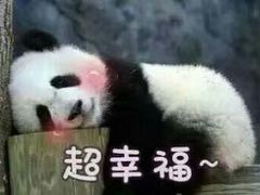 -金明子八带鱼馆(正宗韩国连锁店)