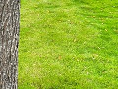 -象湖生态湿地公园