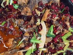 -老板恋上鱼(恒隆广场店)