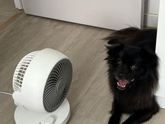 -美联众合爱康动物医院•复杂内科•肿瘤科•牙科•腔镜诊疗中心