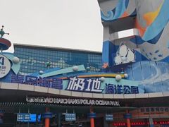 -海合安青岛极地海洋公园
