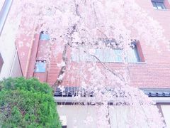 -上野公园花园稻荷神社(忍岡稲荷神社)