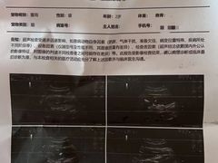 -中农大我爱我爱24h动物医院·中医针灸·猫专科·骨科医疗中心(双井店)