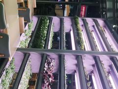 -蔡澜PHO(海岸城店)
