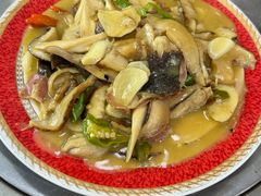 -菌之家·专业纯野生菌火锅·特色炒菌