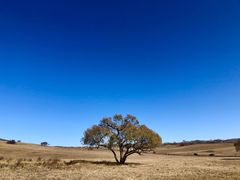 -塞罕坝国家级自然保护区