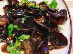 爽口木耳-珍味汤馆·潮汕家乡菜(保利文化广场店)