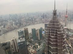 -上海柏悦酒店·世纪100牛排馆