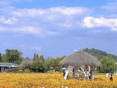 -径山花海