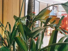 -泰香米泰国餐厅(中大国际店)