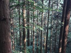 -罗田薄刀峰风景区