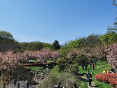 -南京市江宁方山