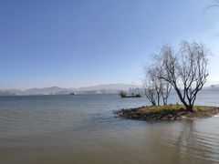 -洱海月湿地公园