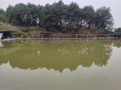 -铁山坪森林公园