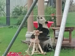 -无锡动物园·太湖欢乐园
