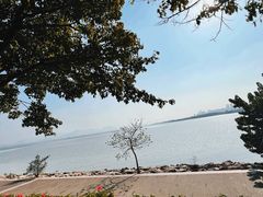 -深圳湾公园(南山区)