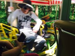 -黄海国家森林公园