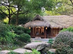 -中国茶叶博物馆(双峰馆区)