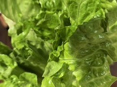 -菌小白火锅(时尚天河店)
