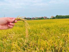 -尚果生态采摘园