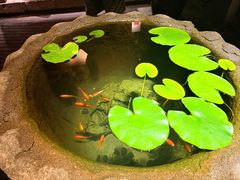 -31号公馆(黄兴广场白果园店)