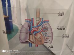 -大阪儿童乐园