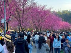 -阿哈湖国家湿地公园