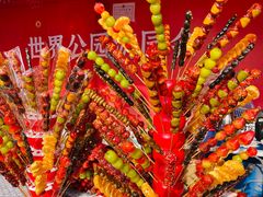 -北京世界公园