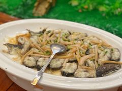 -坚记酒家·佛山老字号·顺德鱼生标准示范店