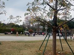 -陈家祠堂-游客中心