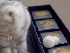 -爸爸糖手工吐司(苏州环球188店)