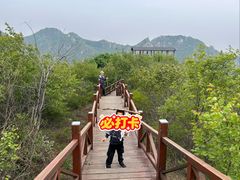 -大岭沟猕猴桃谷风景区