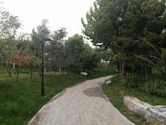 -东升文体公园