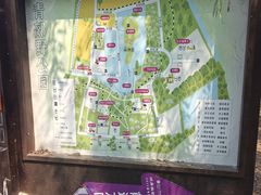 -西青郊野公园