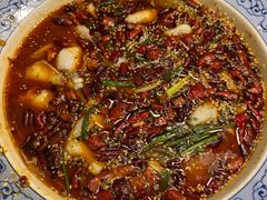-新蜀会四川豆花(五羊店)