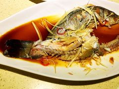 酱汁海鲈鱼-岳姥姥饺子(泺文路店)