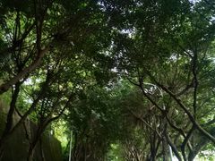-西南政法大学(沙坪坝校区)
