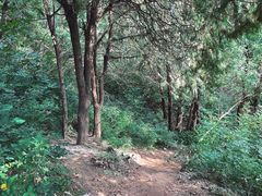 -阳台山自然风景区