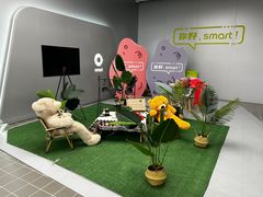 -上海浦东smart汽车全功能店(金桥店)