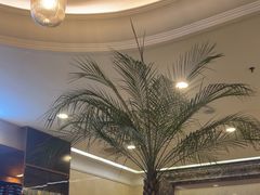-逸派咖啡 EPARKCOFFEE(广安门店)