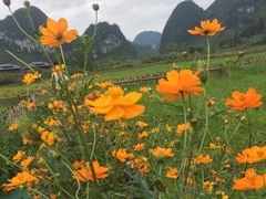 -靖西鹅泉风景区